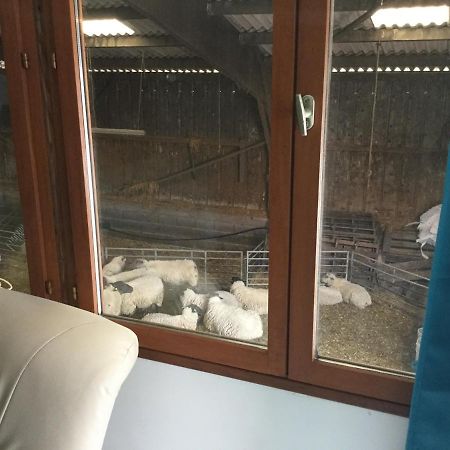 Le Loup Dans La Bergerie Bed & Breakfast Montmartin-sur-Mer Exterior foto